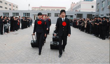 赛博体育官方网站官方网站入口说明」梳